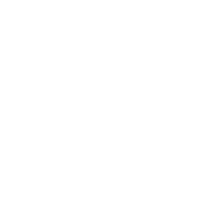 Olympique Lyonnais