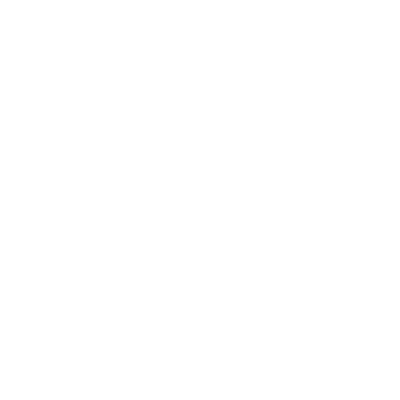 FC Porto