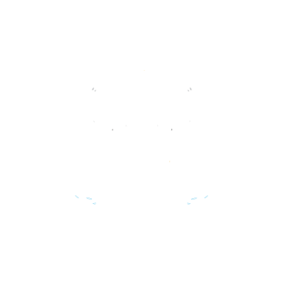 Newcastle United FC