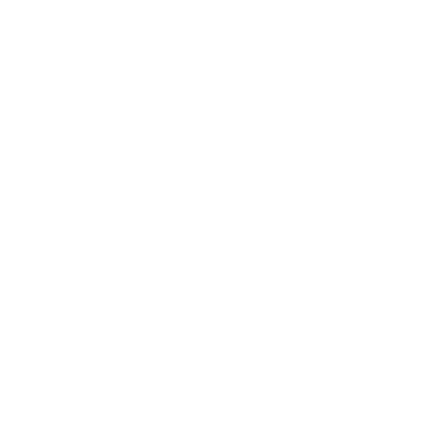Olympique Lyonnais
