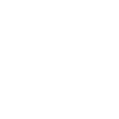 Royal Spanish Football Federation (RFEF)