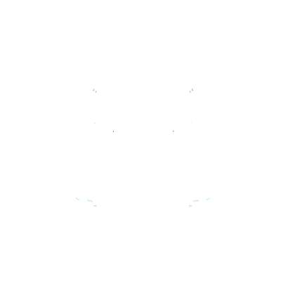 Newcastle United FC