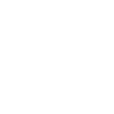 Italian Football Federation (FIGC)