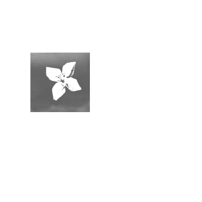 Banco BPI
