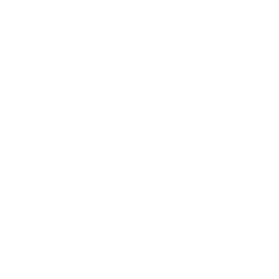 Observador